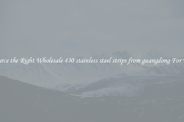 Source the Right Wholesale 430 stainless steel strips from guangdong For You