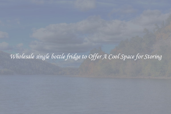 Wholesale single bottle fridge to Offer A Cool Space for Storing