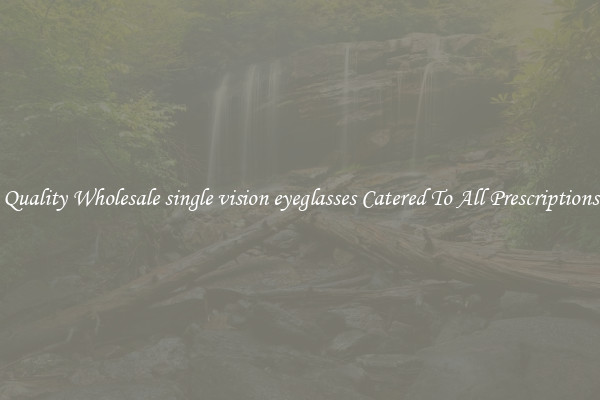 Quality Wholesale single vision eyeglasses Catered To All Prescriptions