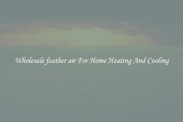 Wholesale feather air For Home Heating And Cooling