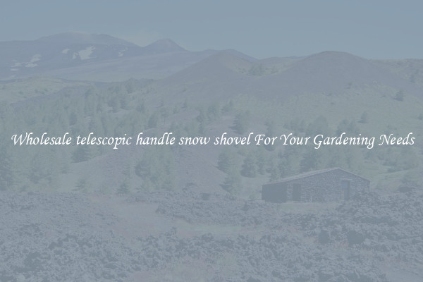 Wholesale telescopic handle snow shovel For Your Gardening Needs