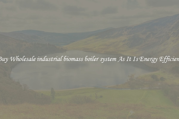 Buy Wholesale industrial biomass boiler system As It Is Energy Efficient