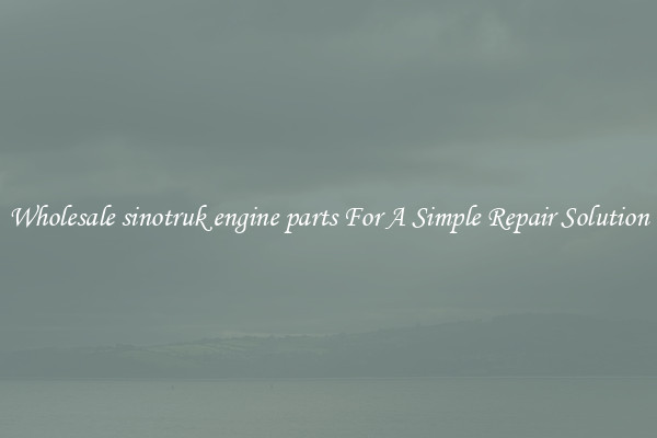 Wholesale sinotruk engine parts For A Simple Repair Solution