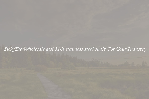 Pick The Wholesale aisi 316l stainless steel shaft For Your Industry