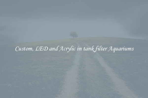 Custom, LED and Acrylic in tank filter Aquariums