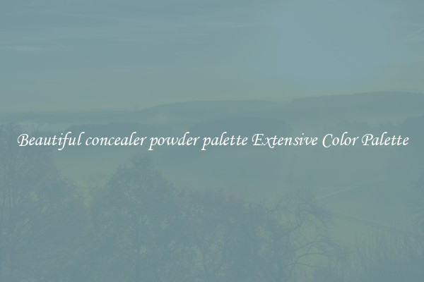 Beautiful concealer powder palette Extensive Color Palette
