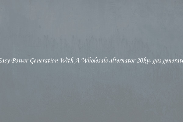 Easy Power Generation With A Wholesale alternator 20kw gas generator