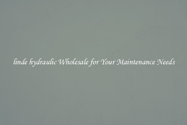 linde hydraulic Wholesale for Your Maintenance Needs