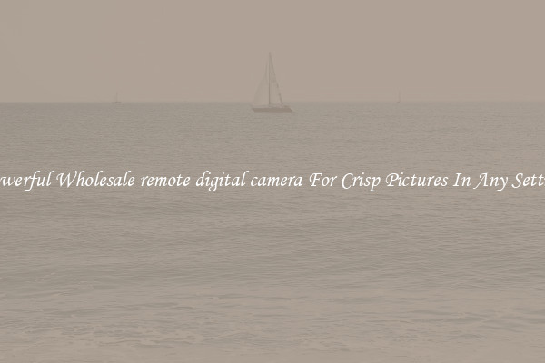 Powerful Wholesale remote digital camera For Crisp Pictures In Any Setting