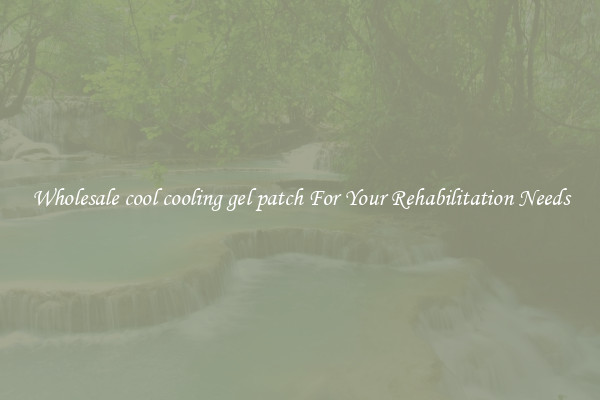 Wholesale cool cooling gel patch For Your Rehabilitation Needs