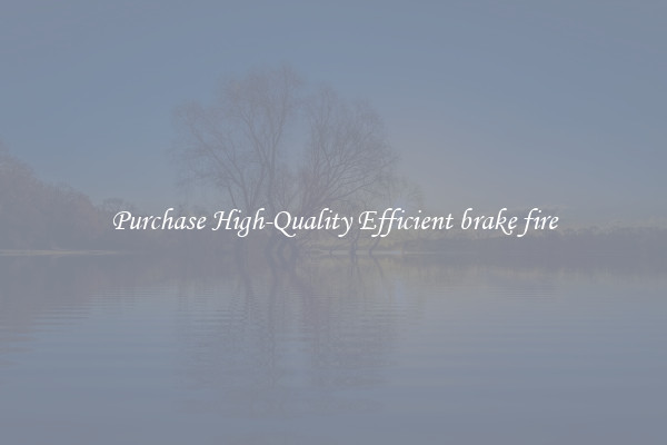 Purchase High-Quality Efficient brake fire