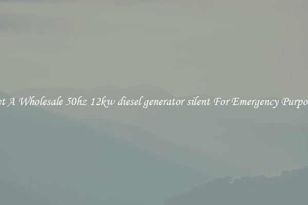 Get A Wholesale 50hz 12kw diesel generator silent For Emergency Purposes