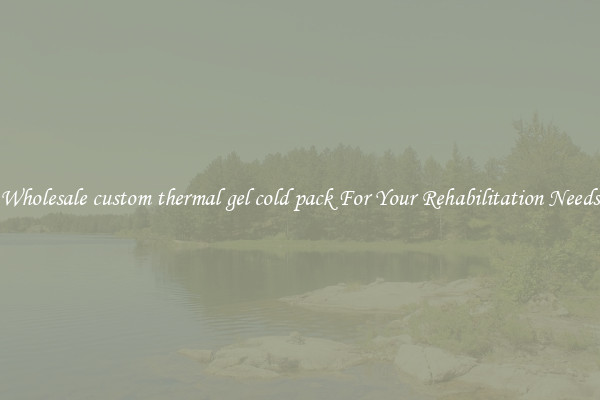 Wholesale custom thermal gel cold pack For Your Rehabilitation Needs
