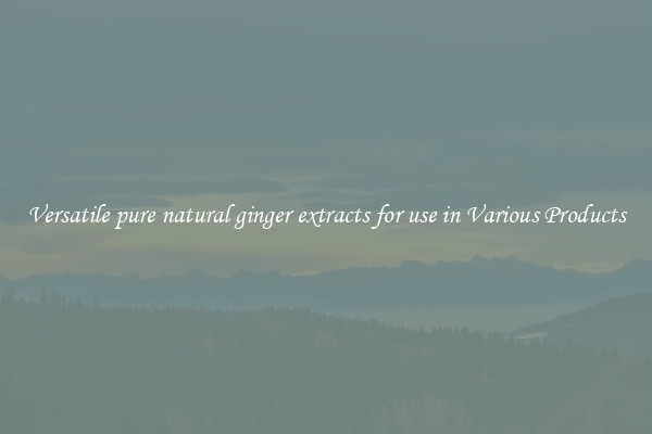 Versatile pure natural ginger extracts for use in Various Products
