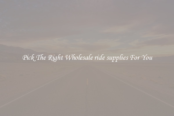 Pick The Right Wholesale ride supplies For You