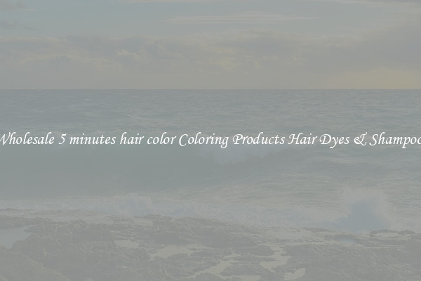 Wholesale 5 minutes hair color Coloring Products Hair Dyes & Shampoos