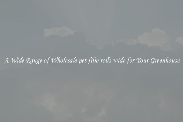 A Wide Range of Wholesale pet film rolls wide for Your Greenhouse